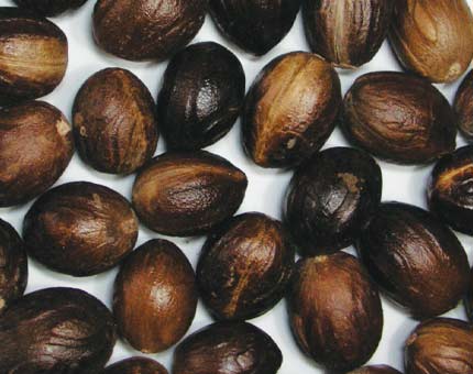 Nutmeg Oil